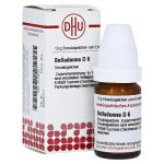 BELLADONNA D 6 Globuli (PZN 1760411) из Германии