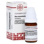 RHUS TOXICODENDRON D 12 Globuli (PZN 1783731) из Германии