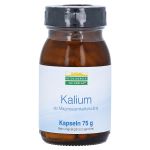 KALIUM ALS Magnesiumkaliumcitrat Kapseln (PZN 14308061) из Германии