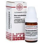 RHUS TOXICODENDRON C 30 Globuli (PZN 2890713) из Германии