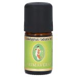 PRIMAVERA Eukalyptus Öl Radiata kbA (PZN 719889) из Германии