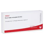DURA MATER encephali GL D 12 Ampullen (PZN 2920319) из Германии