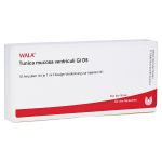 TUNICA mucosa ventriculi GL D 5 Ampullen (PZN 3788046) из Германии