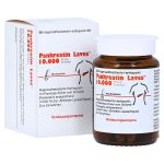 Pankreatin Laves 10000 Ph.Eur.-Einheiten (PZN 16134783) из Германии