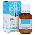 BIOCHEMIE DHU 1 Calcium fluoratum D 12 Tabletten (PZN 2580415) из Германии