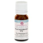 RHUS TOXICODENDRON D 12 Globuli (PZN 11187272) из Германии