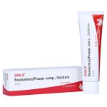 ROSMARINUS/PRUNUS comp.Gel (PZN 2198526) из Германии