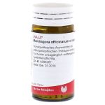 MANDRAGORA OFFICINARIUM e radice D 6 Globuli (PZN 8786661) из Германии
