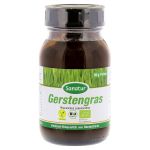 GERSTENGRAS BIO Pulver (PZN 11013224) из Германии