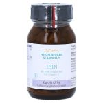 EISEN ALS Eisenbisglycinat Kapseln (PZN 15242140) из Германии