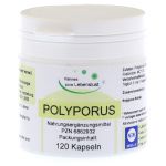 POLYPORUS KAPSELN (PZN 6862932) из Германии