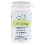 Tribulus Kapseln (PZN 7621231) из Германии