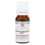 ECHINACEA ANGUSTIFOLIA D 12 Globuli (PZN 11187326) из Германии