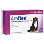AMFLEE 402 mg Spot-on Lsg.f.sehr gr.Hunde 40-60kg (PZN 11099869) из Германии