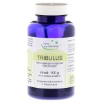 Tribulus terrestris Pulver (PZN 6839867) из Германии