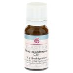 RHUS TOXICODENDRON C 30 Globuli (PZN 11282711) из Германии