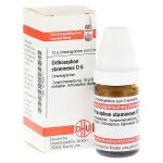 ORTHOSIPHON STAMINEUS D 6 Globuli (PZN 7458771) из Германии
