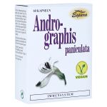 ANDROGRAPHIS paniculata Kapseln (PZN 7643333) из Германии