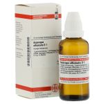 ASPARAGUS OFFICINALIS D 1 Dilution (PZN 2607781) из Германии