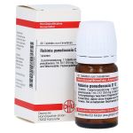 ROBINIA PSEUDACACIA D 12 Tabletten (PZN 2930387) из Германии