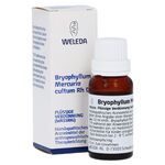 BRYOPHYLLUM MERCURIO cultum Rh D 3 Dilution (PZN 1630312) из Германии