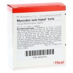 MUSCULUS SUIS Injeel forte Ampullen (PZN 693374) из Германии