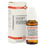 CURCUMA LONGA D 2 Dilution (PZN 2113547) из Германии