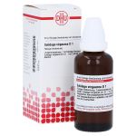SOLIDAGO VIRGAUREA D 1 Dilution (PZN 2811062) из Германии