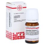 LACHNANTHES tinctoria C 4 Tabletten (PZN 7171839) из Германии
