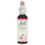 Bachblüten Larch Tropfen (PZN 64595) из Германии