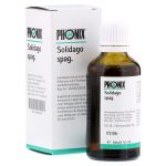 PHÖNIX SOLIDAGO spag.Mischung (PZN 4223725) из Германии