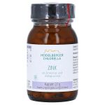 ZINK KAPSELN (PZN 7537789) из Германии