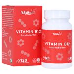 VITAMIN B12 METHYLCOBALAMIN 1000 µg Lutschtabl. (PZN 16697954) из Германии
