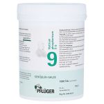 BIOCHEMIE Pflüger 9 Natrium phosphoricum D 6 Tabl. (PZN 6319659) из Германии