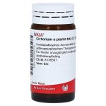 CICHORIUM E planta tota D 3 Globuli (PZN 8785213) из Германии
