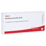 MEMBRANA synovialis GL D 5 Ampullen (PZN 3356051) из Германии