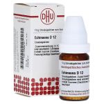 ECHINACEA HAB D 12 Globuli (PZN 2898181) из Германии