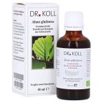 GEMMOEXTRAKT Schwarzerle Alnus Glutinosa Tropfen (PZN 12533109) из Германии