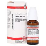 FRAGARIA VESCA D 30 Dilution (PZN 7168257) из Германии