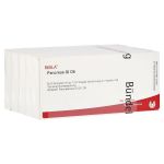 PANCREAS GL D 6 Ampullen (PZN 2945294) из Германии