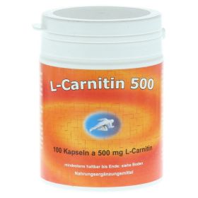 L-CARNITIN KAPSELN 500 mg – PZN 912439 (PZN 912439) из Германии