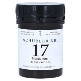 SCHÜSSLER Nr.17 Manganum sulfuricum D 6 Tabletten – PZN 11031883 (PZN 11031883) из Германии