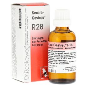 SECALE-GASTREU R28 Mischung – PZN 1372927 (PZN 1372927) из Германии