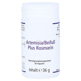 ARTEMISIA BEIFUSS Kapseln – PZN 9398889 (PZN 9398889) из Германии