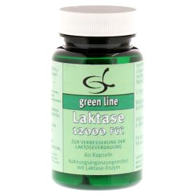 LAKTASE 12.000 FCC Kapseln – PZN 1466338 (PZN 1466338) из Германии
