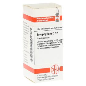 BRYOPHYLLUM D 12 Globuli – PZN 11362835 (PZN 11362835) из Германии