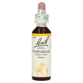 Bachblüten Hornbeam Tropfen – PZN 64537 (PZN 64537) из Германии