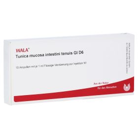 TUNICA mucosa intestini tenuis GL D 6 Ampullen – PZN 3787561 (PZN 3787561) из Германии