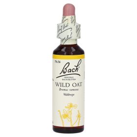 Bachblüten Wild Oat Tropfen – PZN 170110 (PZN 170110) из Германии