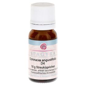 ECHINACEA ANGUSTIFOLIA D 4 Globuli – PZN 11280468 (PZN 11280468) из Германии